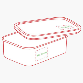 Lunchbox Nature